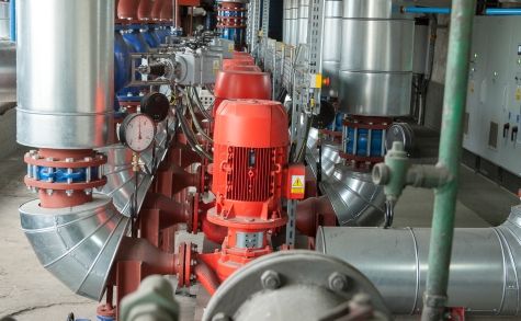 Thermography And Consultation